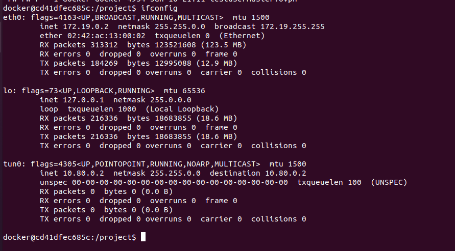 ifconfig vpn