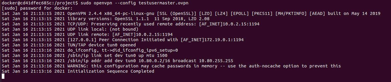 ovpn config